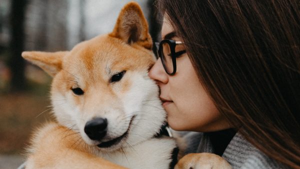 Pet Insurance is a Smart Investment for Every Pet Owner